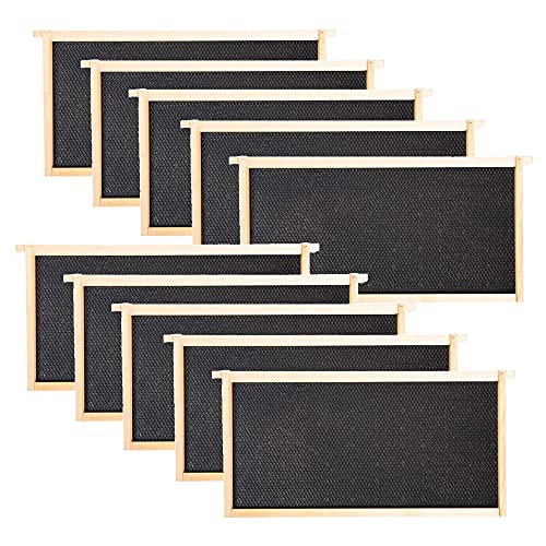 Deep Frames & Foundations (Assembled)(10 frames per set) Black